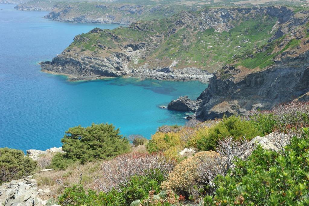 Agriturismo Finagliosu 팔마둘라 외부 사진