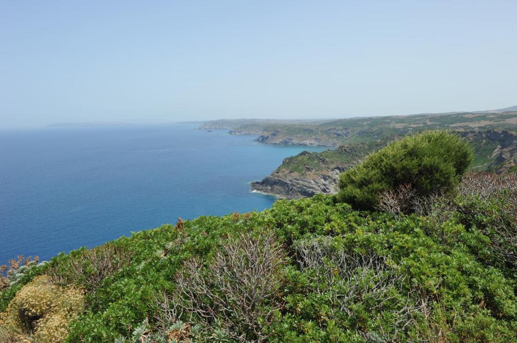 Agriturismo Finagliosu 팔마둘라 외부 사진
