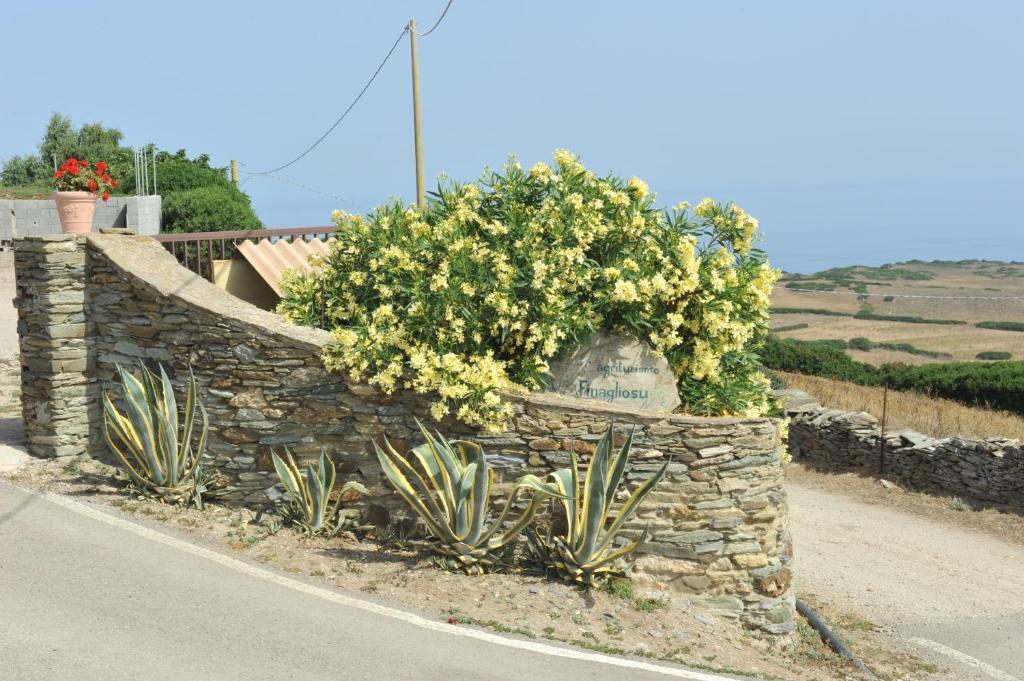 Agriturismo Finagliosu 팔마둘라 외부 사진